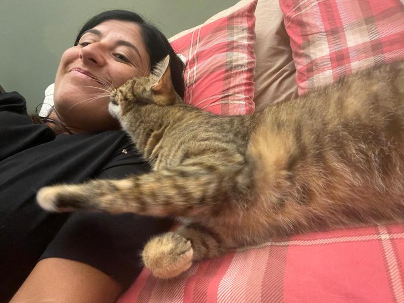 Cat Sitter a Domicilio