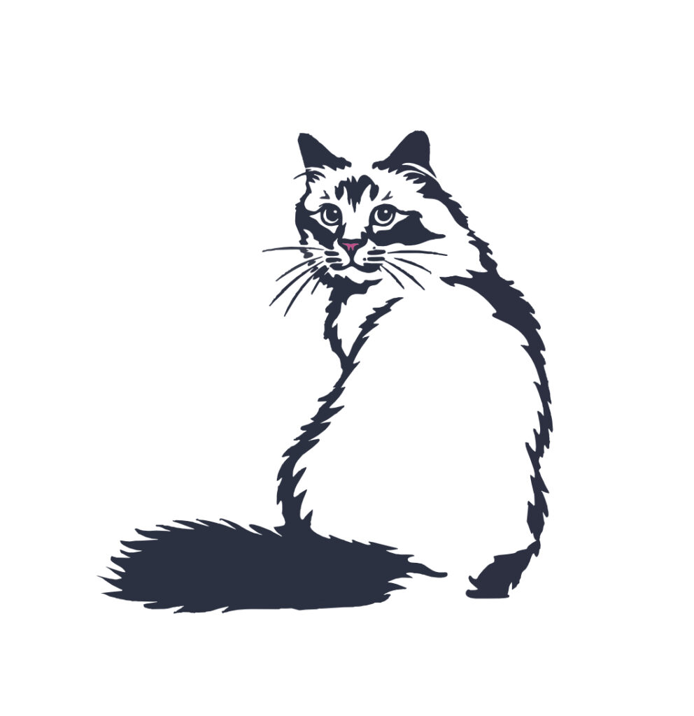 Cat Sitter